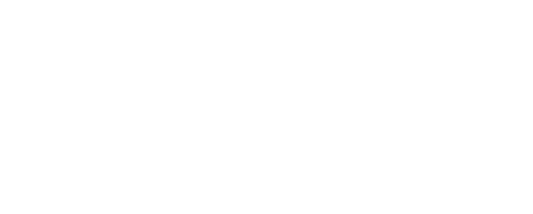 MINT Logo