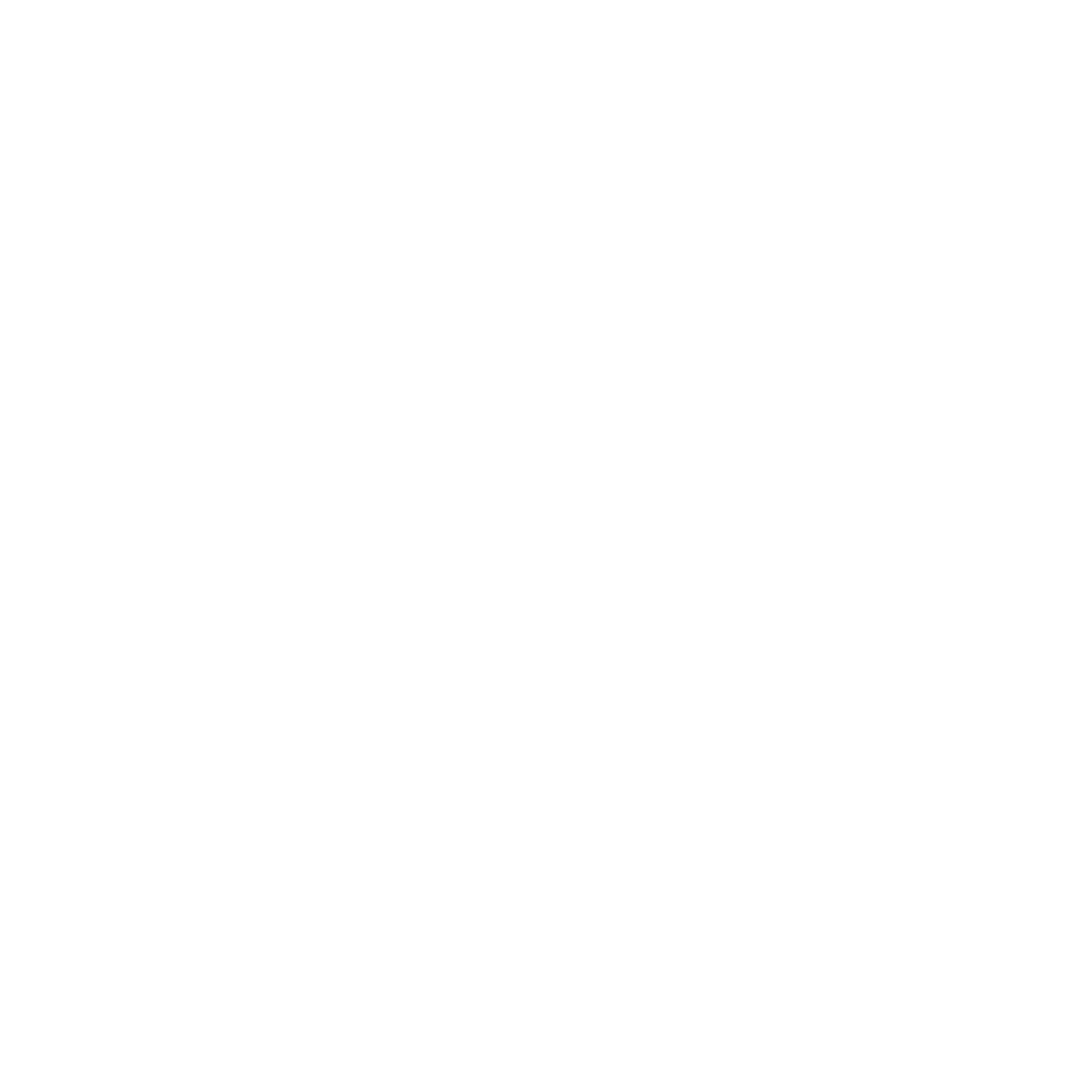 MINT Logo