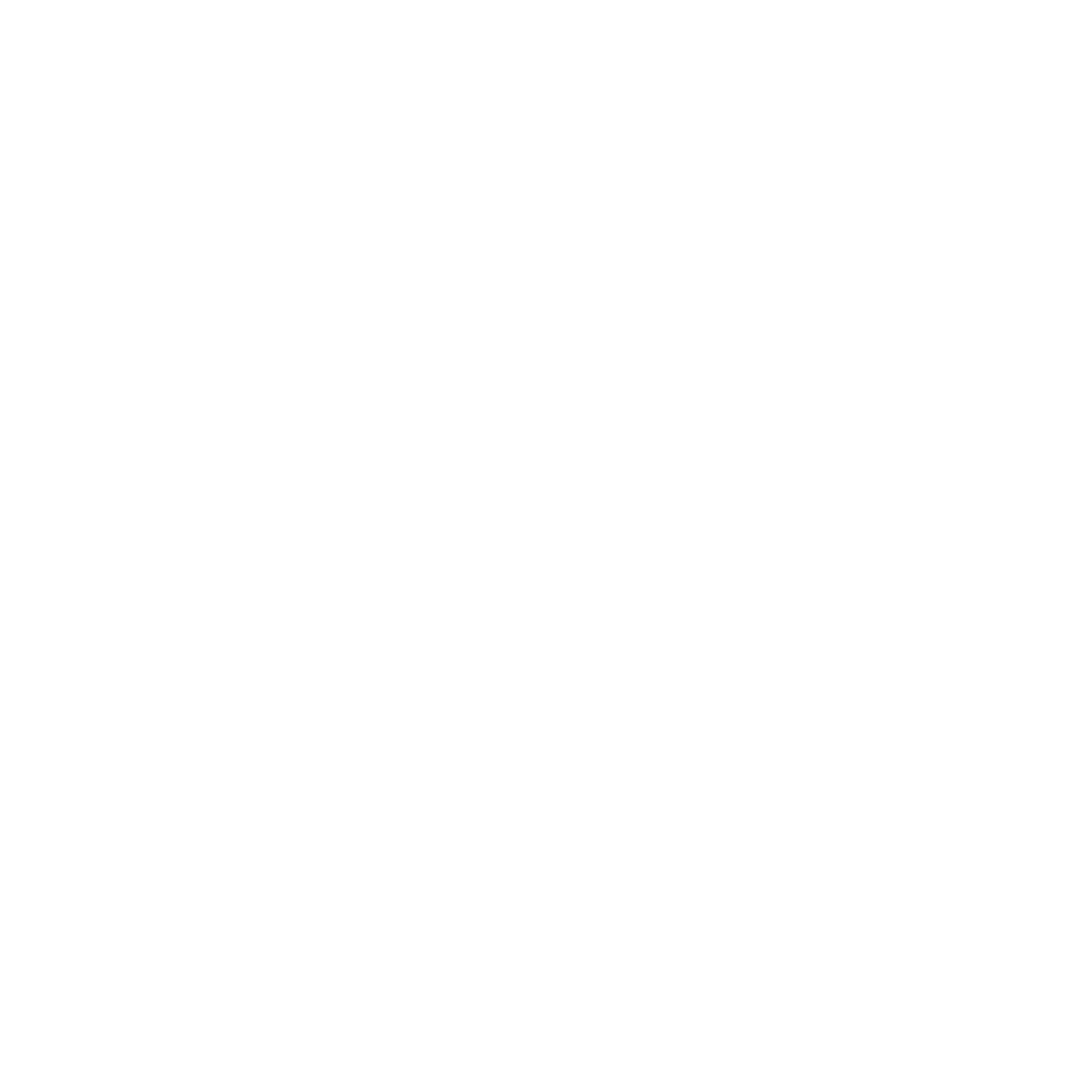 MINT Logo