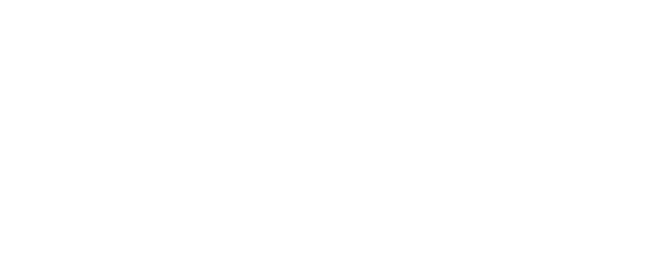 MINT Logo